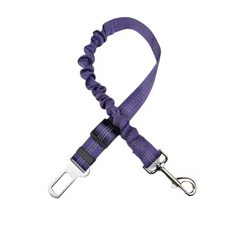 The Zoom Strap
