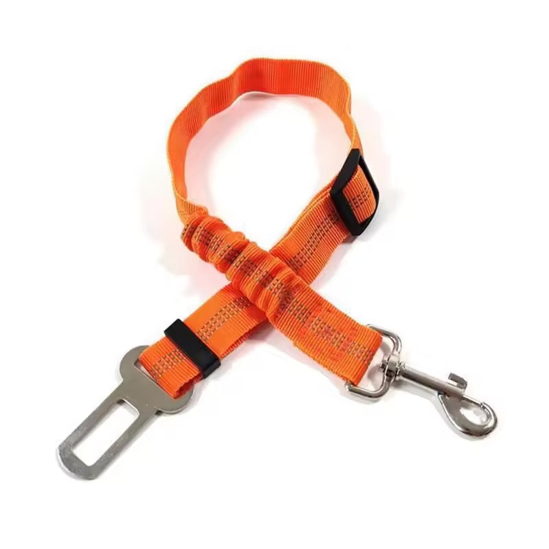 The Zoom Strap
