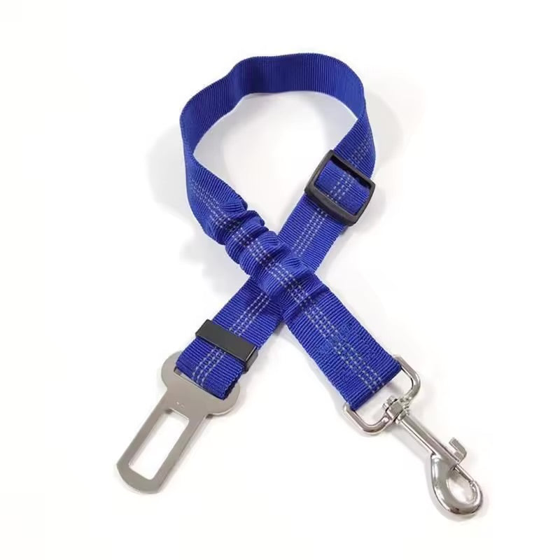The Zoom Strap