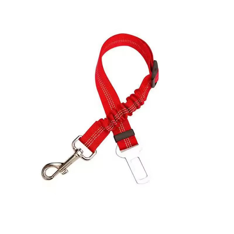 The Zoom Strap
