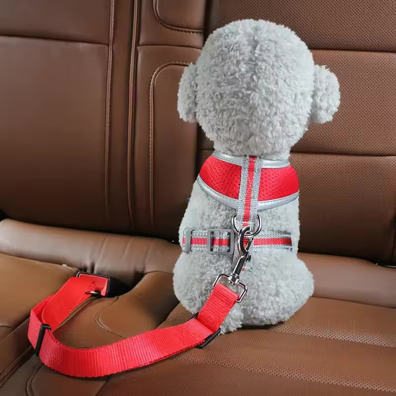 The Zoom Strap
