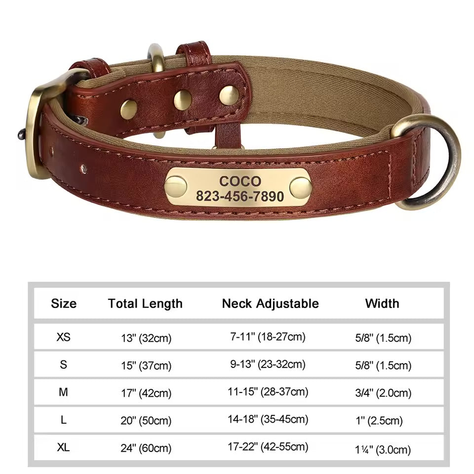 Leash & Luxe Custom Collar