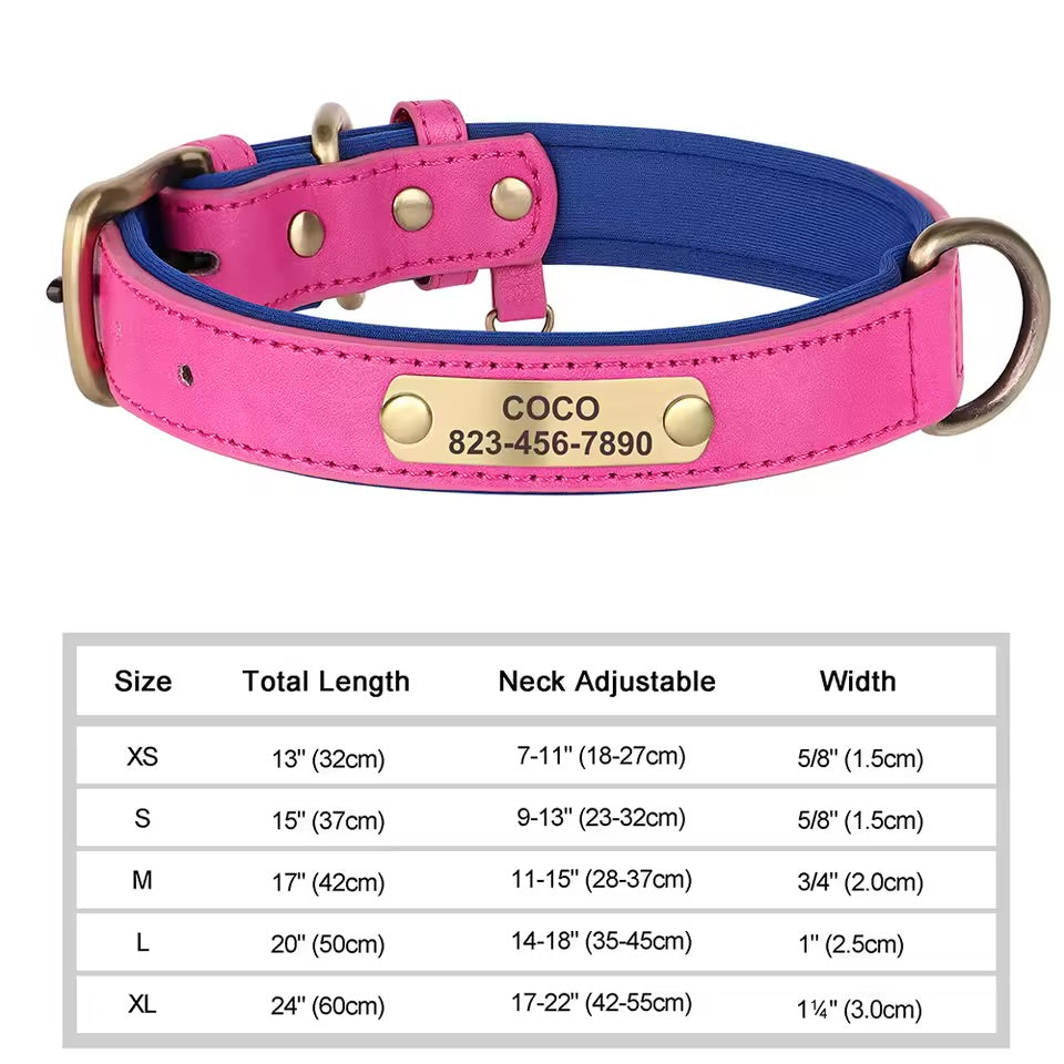 Leash & Luxe Custom Collar