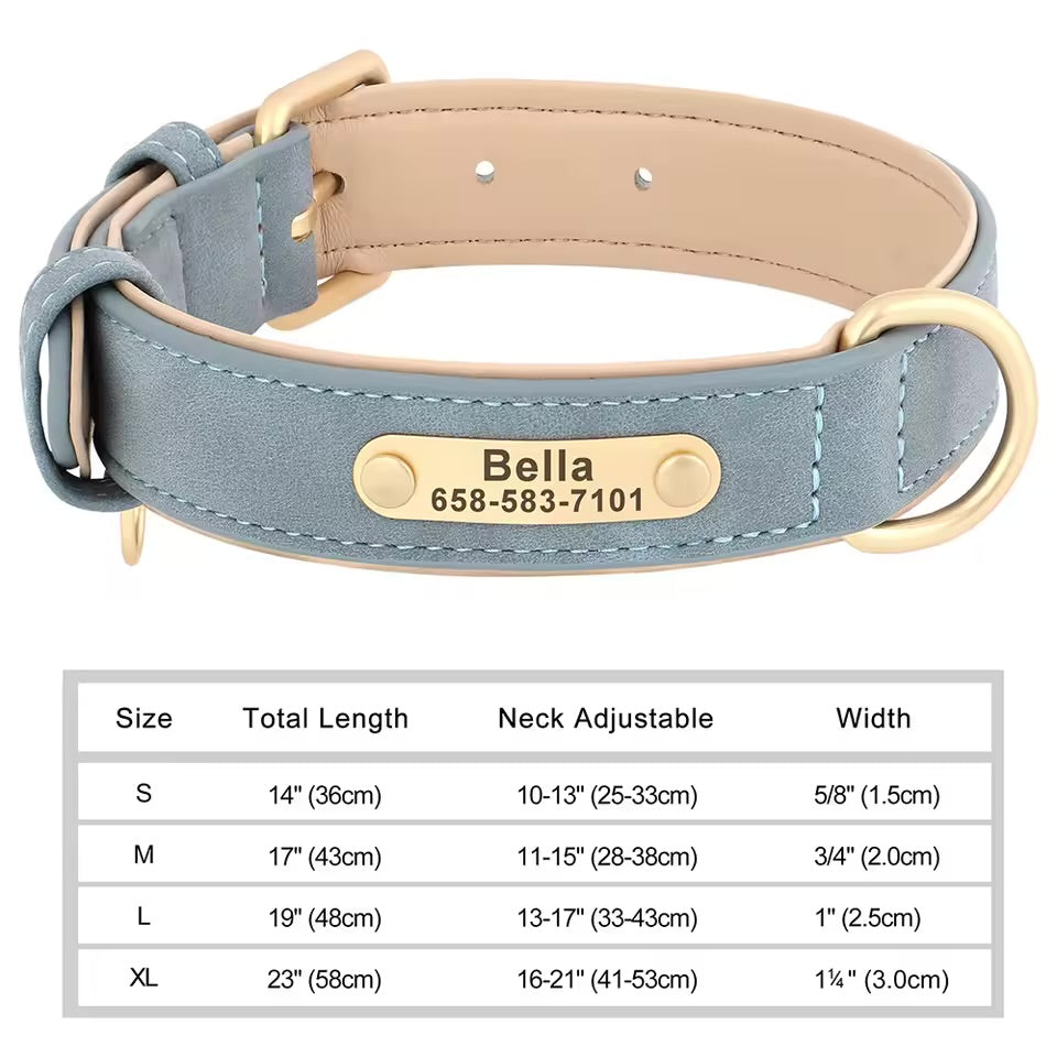 Leash & Luxe Custom Collar