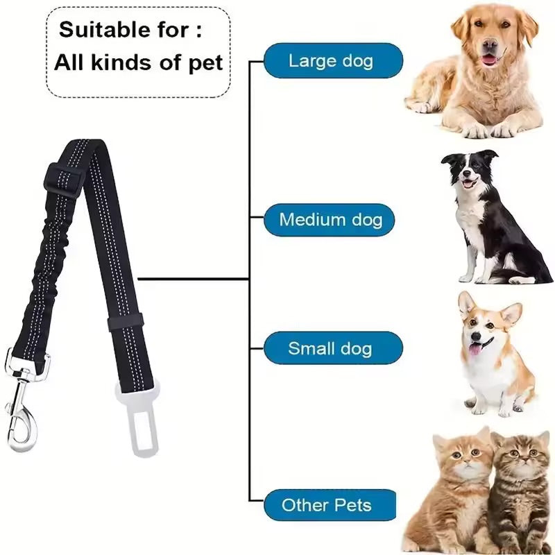 The Zoom Strap