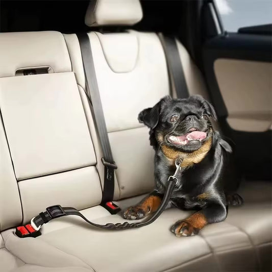 The Zoom Strap