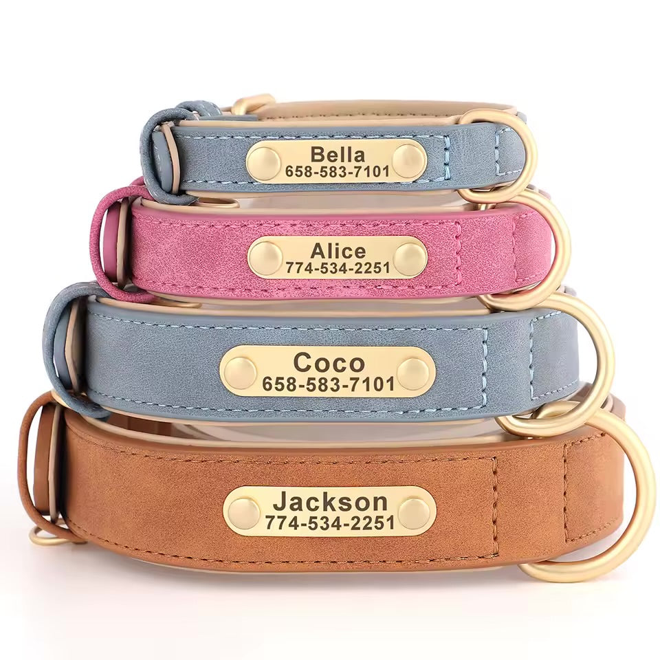Leash & Luxe Custom Collar