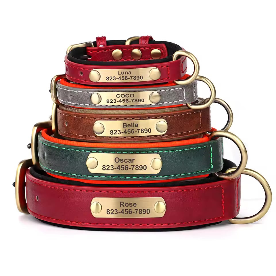 Leash & Luxe Custom Collar