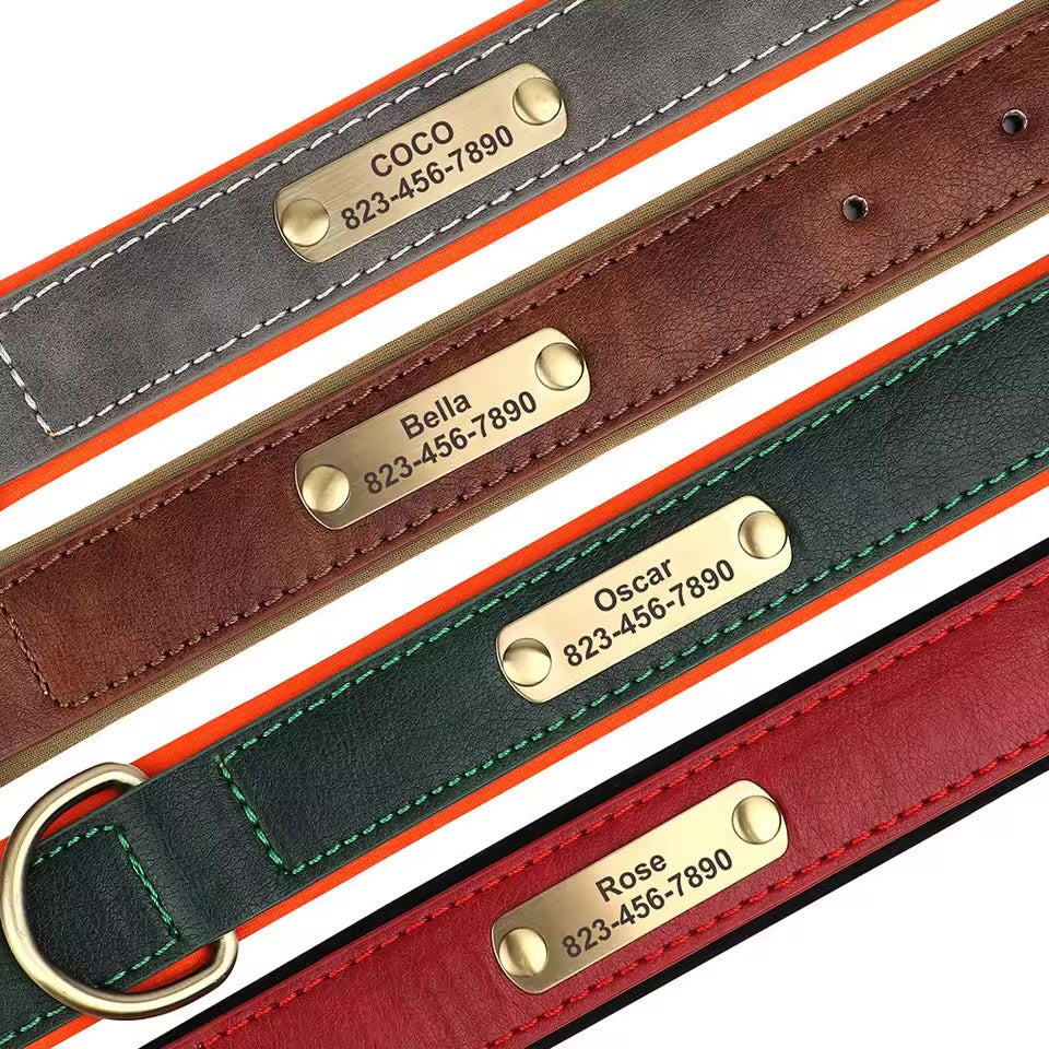 Leash & Luxe Custom Collar