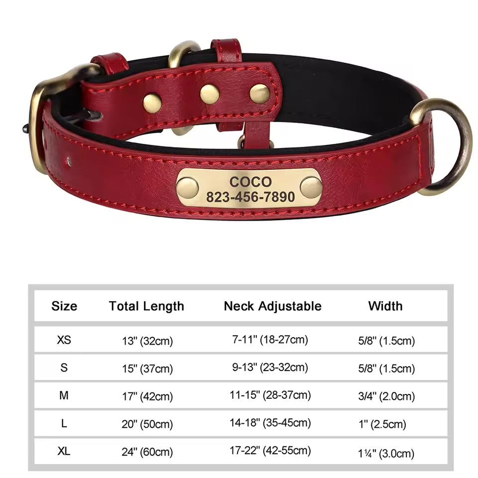 Leash & Luxe Custom Collar