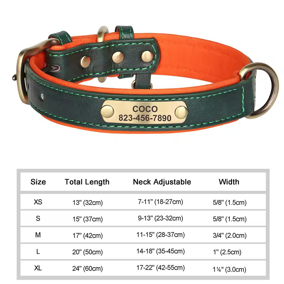 Leash & Luxe Custom Collar