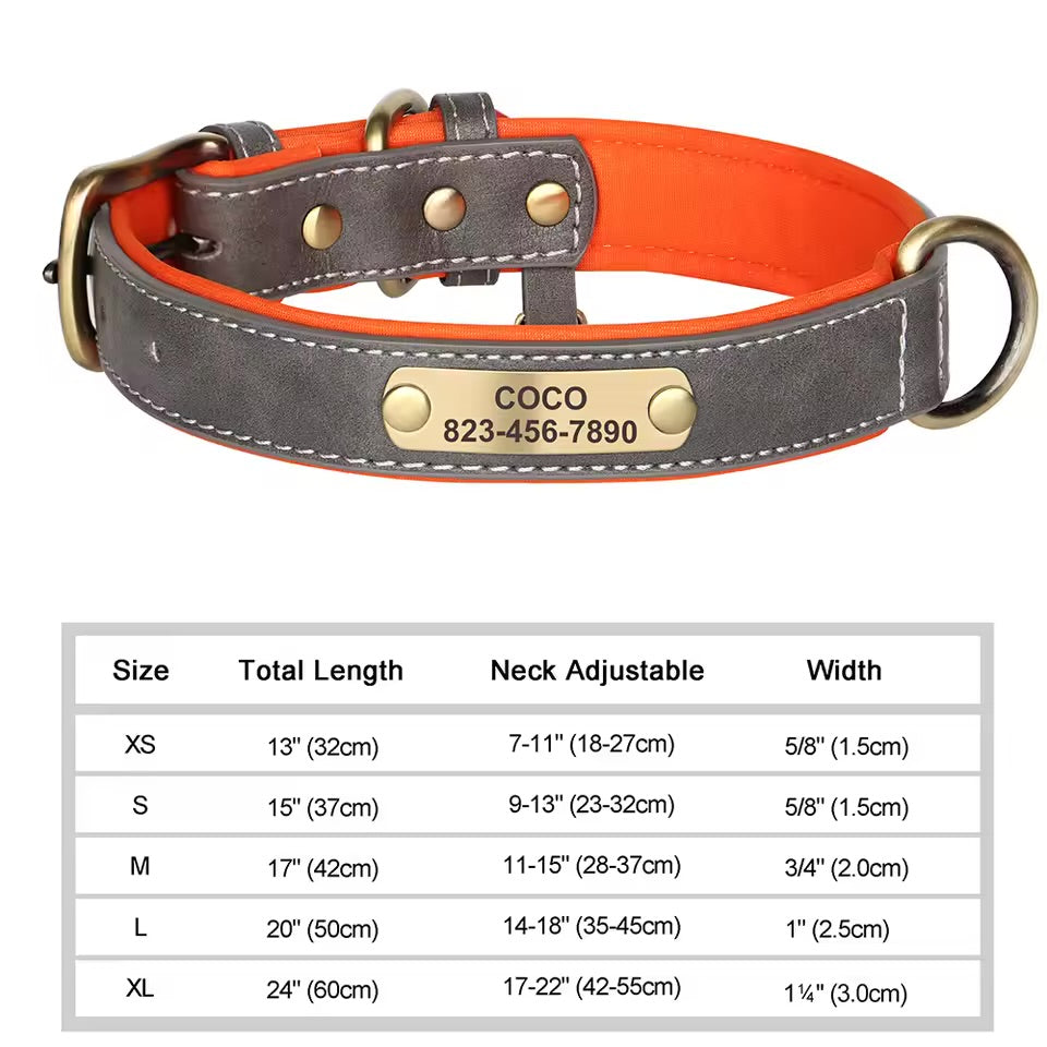 Leash & Luxe Custom Collar