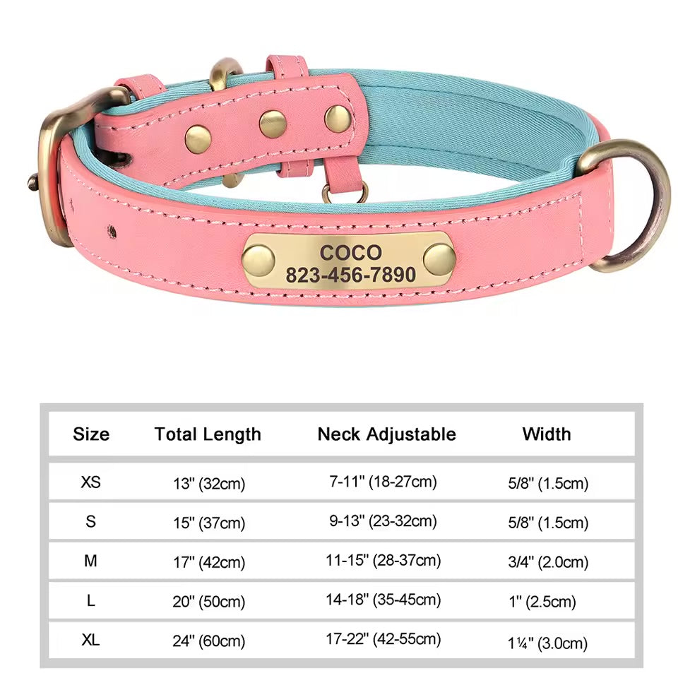 Leash & Luxe Custom Collar