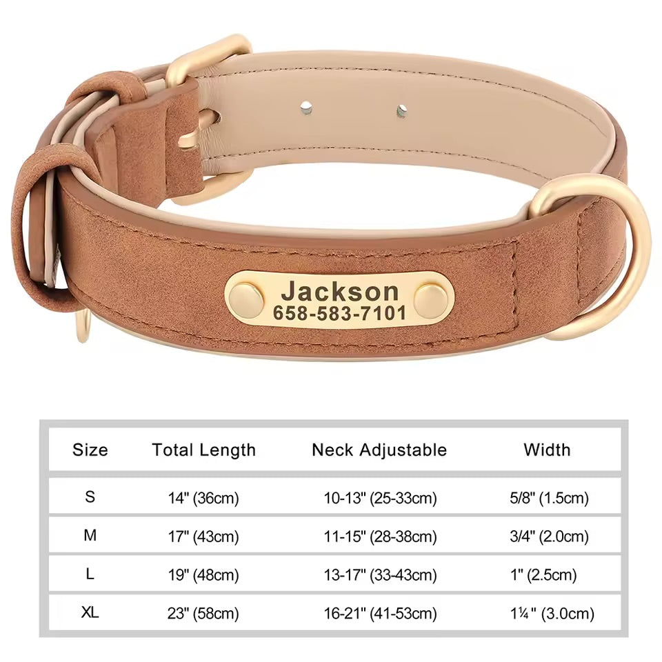 Leash & Luxe Custom Collar