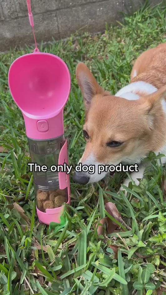 3 in 1 Dog Walking Kit